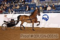 09usn-05516 proof