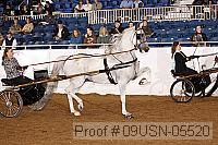 09usn-05520 proof