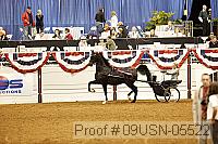 09usn-05522 proof
