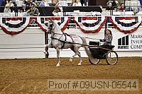 09usn-05544 proof