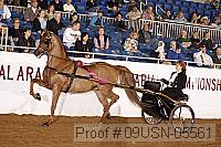 09usn-05561 proof