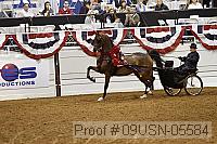 09usn-05584 proof