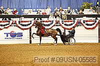 09usn-05585 proof