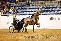 09usn-09745 proof