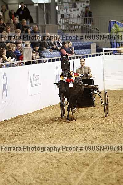 Proof 09usn-09781