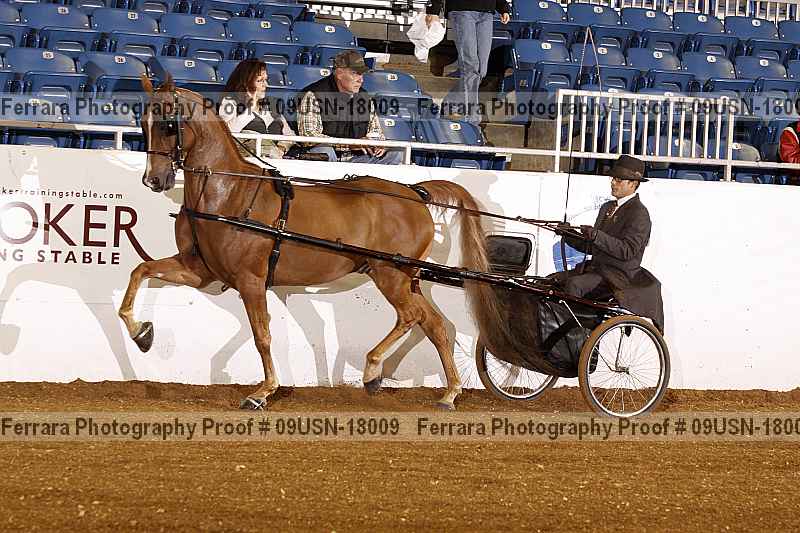 Proof 09usn-18009