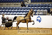 09usn-18031 proof