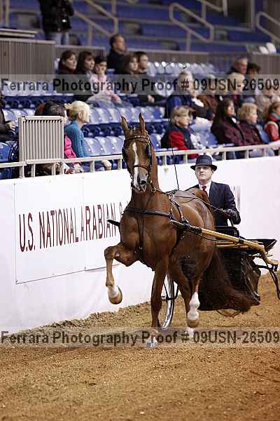 Proof 09usn-26509