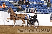 09usn-26518 proof