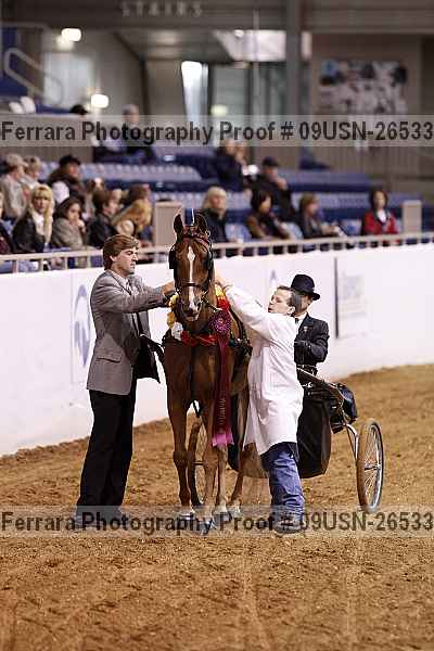 Proof 09usn-26533
