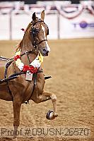 09usn-26570 proof
