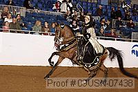 09usn-07438 proof