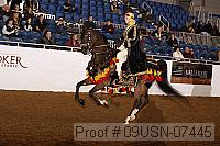 09usn-07445 proof