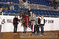 09usn-07528 proof