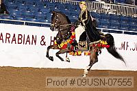 09usn-07555 proof