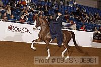 09usn-06981 proof