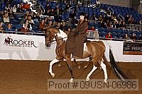 09usn-06986 proof