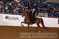 09usn-06994 proof