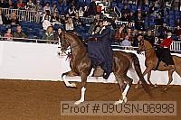 09usn-06998 proof