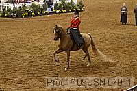 09usn-07011 proof