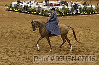09usn-07015 proof