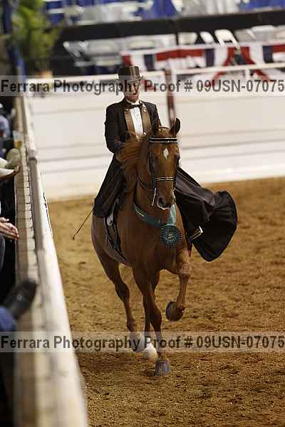 Proof 09usn-07075