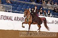 09usn-07077 proof