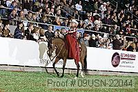 09usn-22044 proof