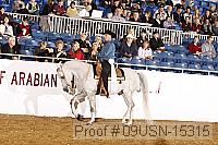 09usn-15315 proof