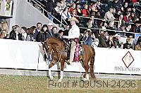 09usn-24296 proof