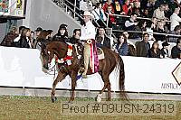 09usn-24319 proof