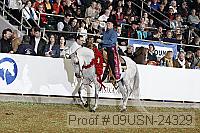 09usn-24329 proof