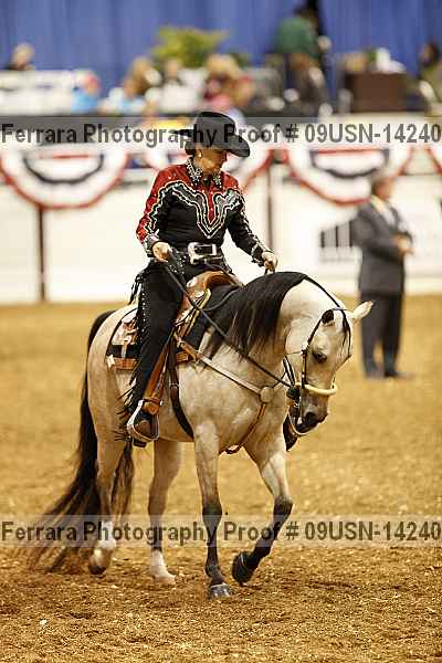 Proof 09usn-14240