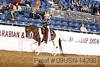 09usn-14288 proof
