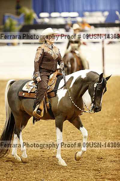 Proof 09usn-14309