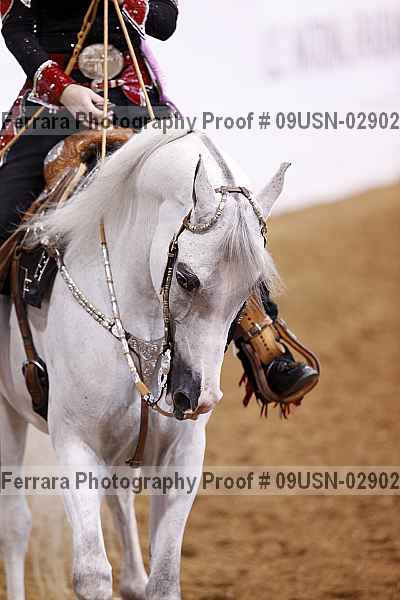Proof 09usn-02902