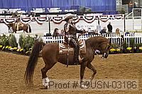 09usn-03186 proof