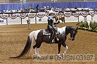 09usn-03187 proof