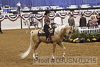 09usn-03215 proof