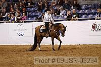 09usn-03234 proof