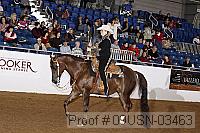 09usn-03463 proof