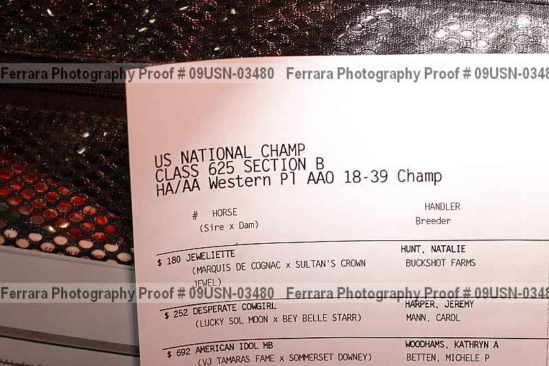 Proof 09usn-03480
