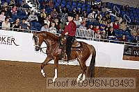 09usn-03493 proof
