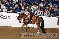 09usn-03494 proof