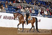 09usn-03495 proof