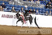 09usn-10311 proof