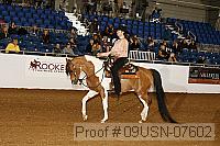 09usn-07602 proof