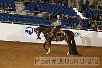 09usn-07610 proof