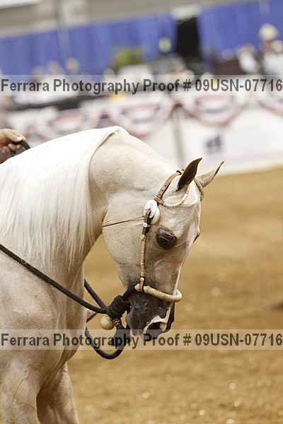 Proof 09usn-07716