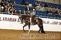 09usn-07733 proof